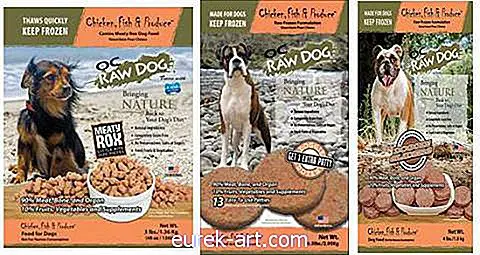 ילדים וחיות מחמד - מאות קילוגרמים של מזון לכלבים נזכרים בגלל סיכון סלמונלה
