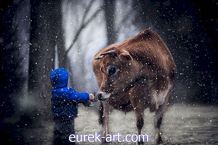 copii și animale de companie - Această fotografie uimitoare de amatori a tatălui surprinde frumusețea de a crește la o fermă