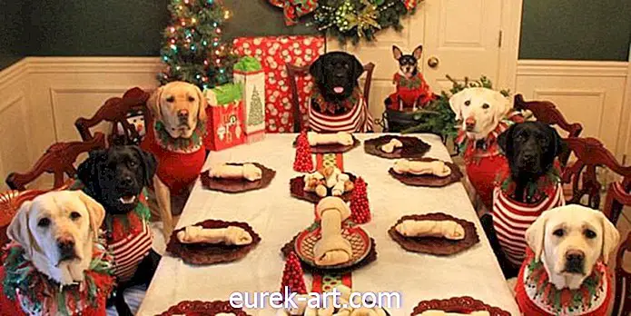 Acest cuplu a creat o „masă pentru copii” de Crăciun pentru câinele și prietenii săi