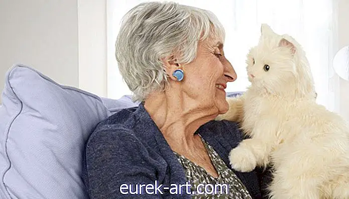 Como cães e gatos robóticos estão proporcionando conforto aos idosos com demência