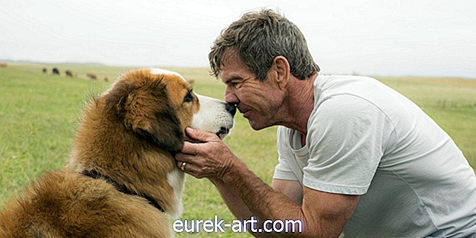 Forfatter og produsent 'A Dog's Purpose' slipper begge uttalelser om filmens påståtte misbruk av dyr