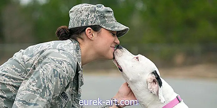 Questo rifugio per animali rinuncia alle tasse di adozione per i membri militari il giorno dei veterani
