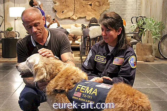 otroci in hišni ljubljenčki - Letos preživeti pes za iskanje in reševanje 9/11 je letos dobil rojstnodnevno zabavo svojih sanj