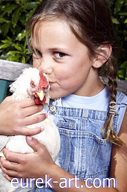 Kinder & Haustiere - Leute kuscheln ihre Hinterhofhühner und es verursacht ein Problem der öffentlichen Gesundheit