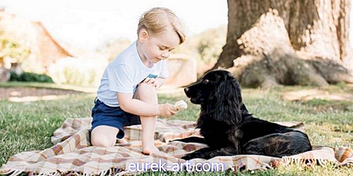 børn & kæledyr - Folk er alvorligt foruroliget over dette søde foto af Prince George