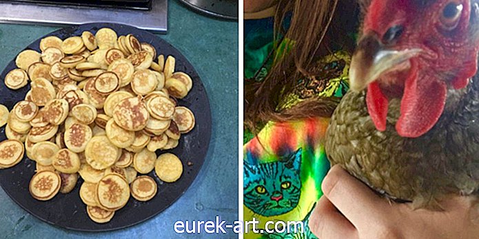 Ця 18-річна дівчинка зробила чарівні крихітні млинці для своїх домашніх курчат