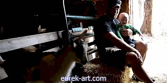 niños y mascotas - La reacción de este bebé al ver cabras por primera vez no tiene precio