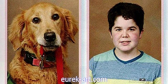 bērni un mājdzīvnieki - Saldais iemesls šim sunim radīja gadagrāmatas izskatu