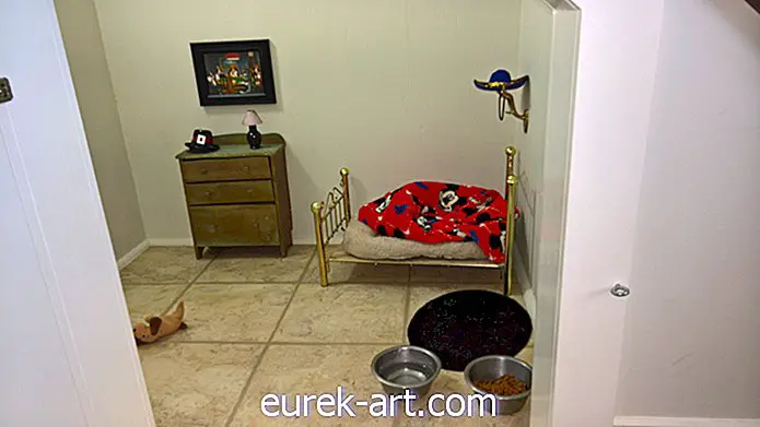 deti a domáce zvieratá - Tento rozkošný pes má svoju vlastnú malú izbu Harryho Pottera pod schodmi