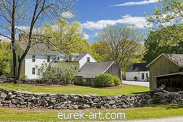 Zie foto's: Renee Zellweger verkoopt haar landhuis in Connecticut