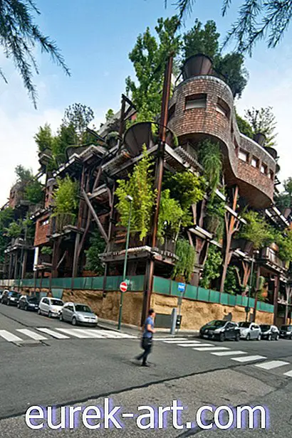 이 놀라운 Urban Treehouse 아파트는 공기 및 소음으로부터 주민을 보호합니다