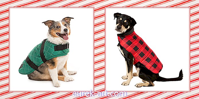 Más de 20 mejores abrigos para perros para el invierno para mantener a tu cachorro cálido y elegante