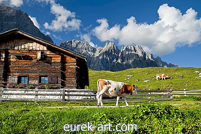 15 nuotraukų, kurios puikiai užfiksuoja nuostabius Austrijos kaimus