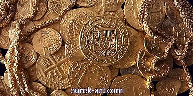 Caçadores de tesouros encontraram US $ 1 milhão em moedas e correntes em um naufrágio do século XVIII
