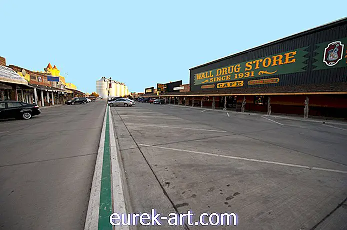 reizen - The Remarkable Story of Famous Wall Drug Store in South Dakota