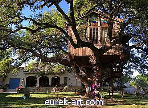 Nu kan du få en magisk spiseoplevelse i et 450 år gammelt Texas-træ