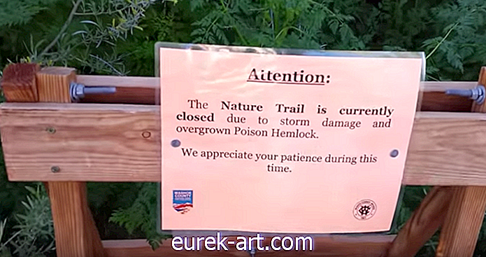 ταξίδι - Αυτό το δημοφιλές πάρκο της Νεβάδα βιώνει μια μεγάλη έκρηξη Hemlock δηλητήριο