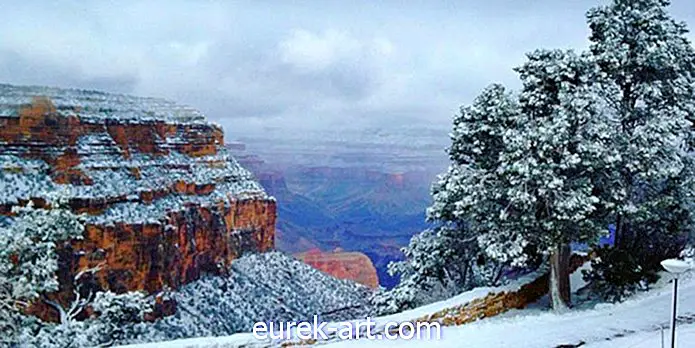 Aamuinen lumimyrsky on kääntänyt Grand Canyonin talvi-ihmemaaksi