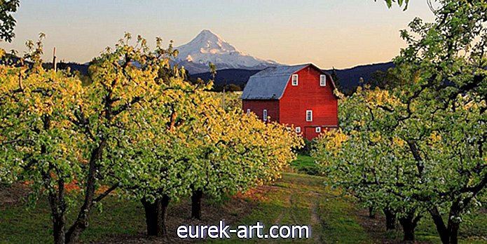 Le 19 migliori piccole città dell'Oregon