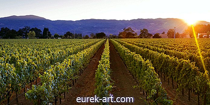 Reise - 8 Gründe, Kaliforniens Weinland jetzt zu besuchen
